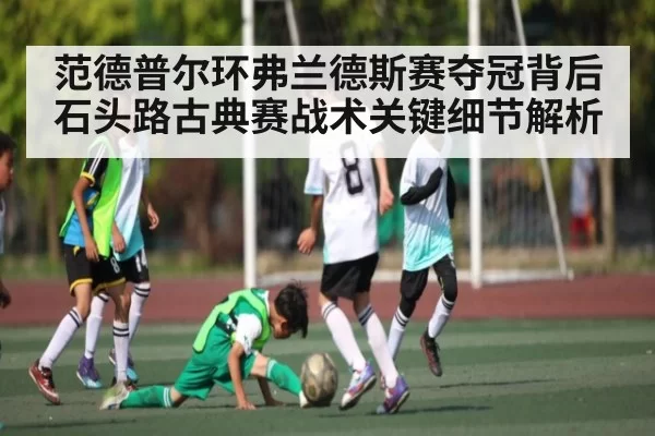 范德普尔环弗兰德斯赛夺冠背后石头路古典赛战术关键细节解析